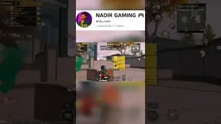 🎯 