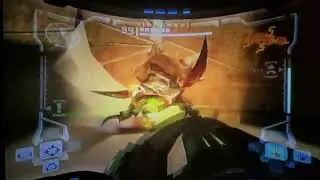 Metroid Prime - All Plated Beetle Defeat Animations