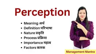 What is Perception, Types of Perception, perceptual Process, Perceptual Error, Strategies.
