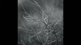 COURSE OF SUNRISE - Mist [Full Album] | 2023