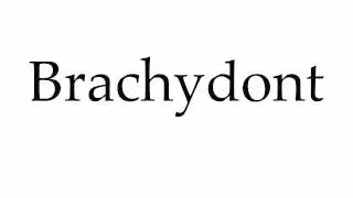 How to Pronounce Brachydont