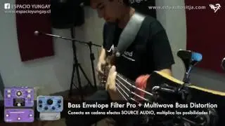 Capitulo 3 | Multiwave Bass Distortion & Pro Bass Envelope Filter SOURCE AUDIO