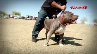BullyWebTV: Super 