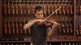 Martin Olteanu workshop, Bucharest 2011 (41.2 cm.) | Viola Demonstration
