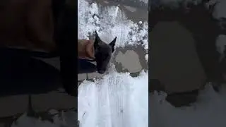 walk heel responsiveness