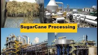 Sugar Cane  Processing, Steps Involved in Sugar Processing