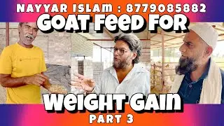 Goat Farmers Reveal Top Feed for MAXIMUM Weight Gain | A1 Goat Farm