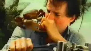 Carling beer advert - crab on desert island