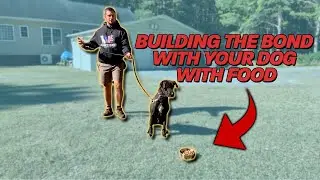 How to Build a Better Bond with Your Dog with Food