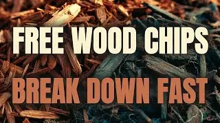 The Forgotten Farmer&rsquo;s Secret  Source FREE Wood Chips & Break Them Down FAST!