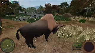 Jogando como bisão solitário! -- Ecos: La Brea / Roblox (Parte 1)