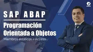 Curso SAP ABAP Programaci&oacute;n OO - Miembros est&aacute;ticos/Acceso