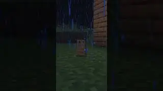 Minecraft 3rd door