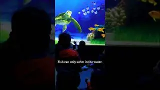 BEST QUESTION EVER | Turtle talk with crush 😂
