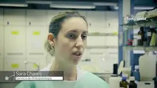 Así trabajan los forenses españoles