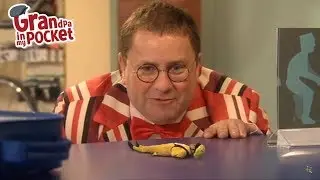 Grandpa in My Pocket Clip - Mr Whoops' Bike! | Series 1