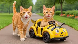 Mama Cat Trims Fur on the Farm and Makes Tiger Hat For Kittens At Home🐾🎩🐯