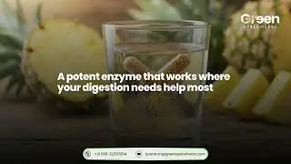 Bromelain 2400 GDU | High-Potency Enzyme for Protein Digestion & Recovery