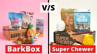 Barkbox vs Super Chewer | Which is a better option for you?