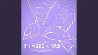 IF I WERE A BIRD