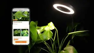 Glowrium APP User Guide | For Smart Grow Lights