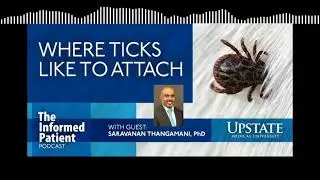 Where ticks like to attach