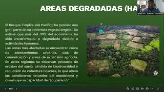Avance de Portafolio 2 _Ruben Paul Gamarra Apolinario