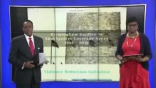 Director discusses Violence Reduction Initiative