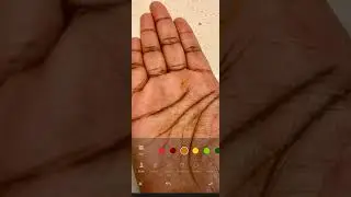 Palm reading of female | finance line | independent thoughts| emotional but not expressive