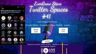 Twitter Space #41 - Let&rsquo;s Talk EverGrow, Lucro, LunaSky NFT Marketplace, Atlas Wallet