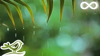 You & Me- Relaxing Piano Music & Soft Rain Sounds For Sleep & Relaxation by Peder B. Helland