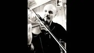 -Love theme from Romeo & Juliet- 🎻 solo