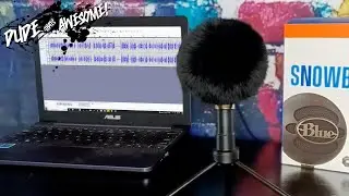 Wind Screen for Blue Snowball Microphone - Test & Review
