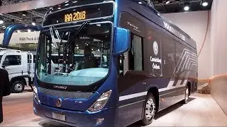 Volksbus e Flex