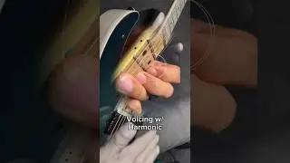 Two important expressive details! #fingerstyleguitar #bluesguitar #harmonic #chord #chordvoicing