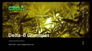 Delta 8 Gummies | Best Delta 8 Gummies Online - CBD Gummies