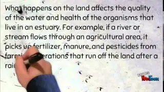 Ecosystem and protecting and conserving estuaries