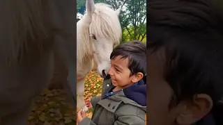 Toddler Meets MAGICAL White Pony for the FIRST TIME! (Pure Joy Reaction)