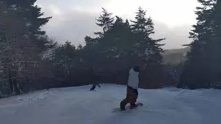 若造の成長日記