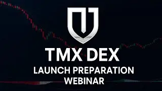 TMX DEX LAUNCH PREPARATION WEBINAR 20.10