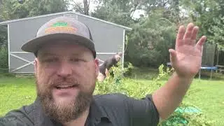 Landscape Cleanup - Ft Smith AR Lawn & Landscape Company