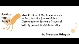 Sreeram Udayan - Identification of Gut Bacteria such as Lactobacillus johnsonii that... | S01 MVIF6