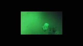 Elliot Galvin &lsquo;Ghosts&rsquo; Official Music Video