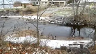Early ice on Lake Nipissing