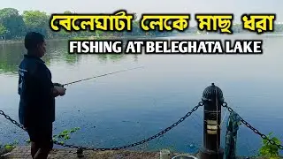 Fishing At Beleghata Lake | বেলেঘাটা লেকে মাছ ধরা