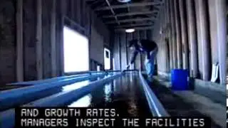 Fish Hatchery Managers