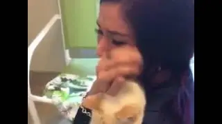 Emotional woman finds her cat after 2 years-ORIGINAL VIDEO