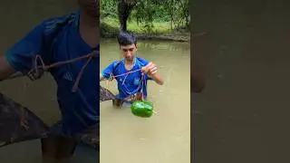 World Best Fishing Method With Pepe Bait#fish_traps
