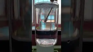 Amazing Cotton Bud Experiment With Water #shorts