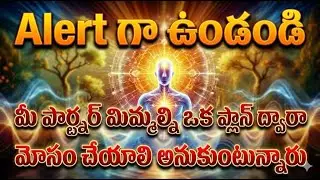Alert గా ఉండండి ⚠️ మీ పార్ట్నర్ ఈ ప్లాన్‌తో మిమ్మల్ని మోసం చేయబోతున్నారు | Universe Message